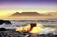 Click to view large image