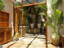 Click to view large image